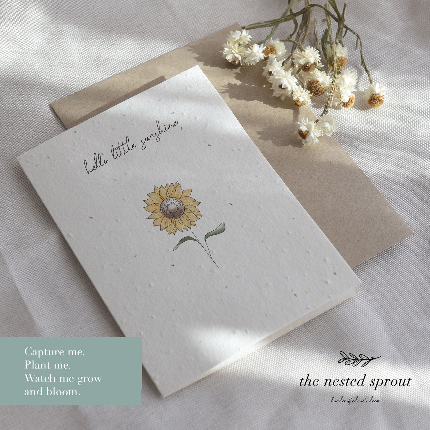 Plantable Greeting Card